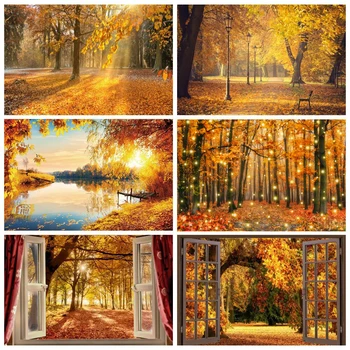 Осенний лес, Солнечный свет, Природа, пейзаж, Фон для фотосъемки, Осенние клены, листья, Дерево, Ферма, Детский портрет, Фон для фотосъемки, Декор